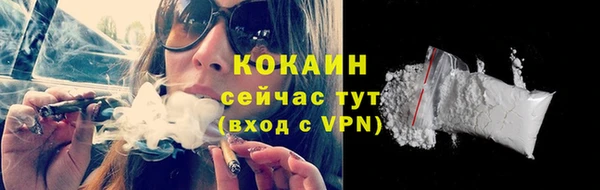 прущая мука Снежногорск