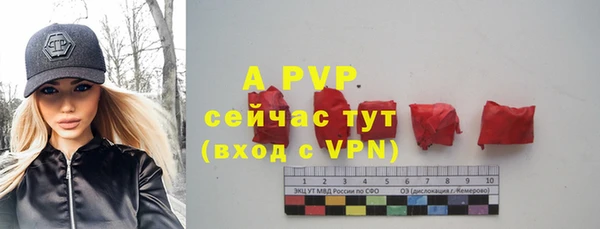 спиды Пестово