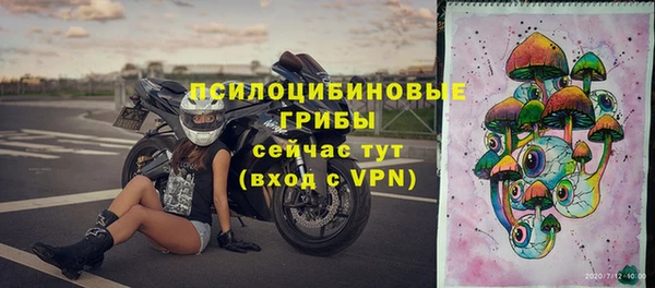 гашик Слюдянка