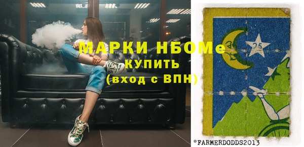 гашик Слюдянка