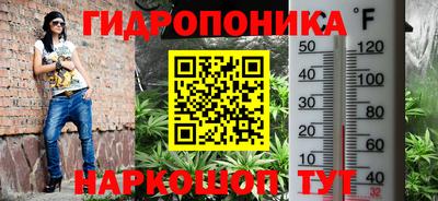 винт Берёзовский