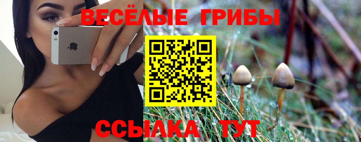 Галлюциногенные грибы GOLDEN TEACHER  Галлюциногенные грибы Magic Shrooms  Вход с VPN  Брянск 